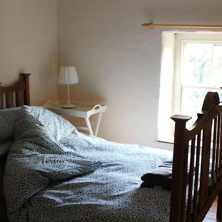 Relaxing Pet Friendly 2-Bed Cottage In Rhandirmwyn Llandovery Εξωτερικό φωτογραφία