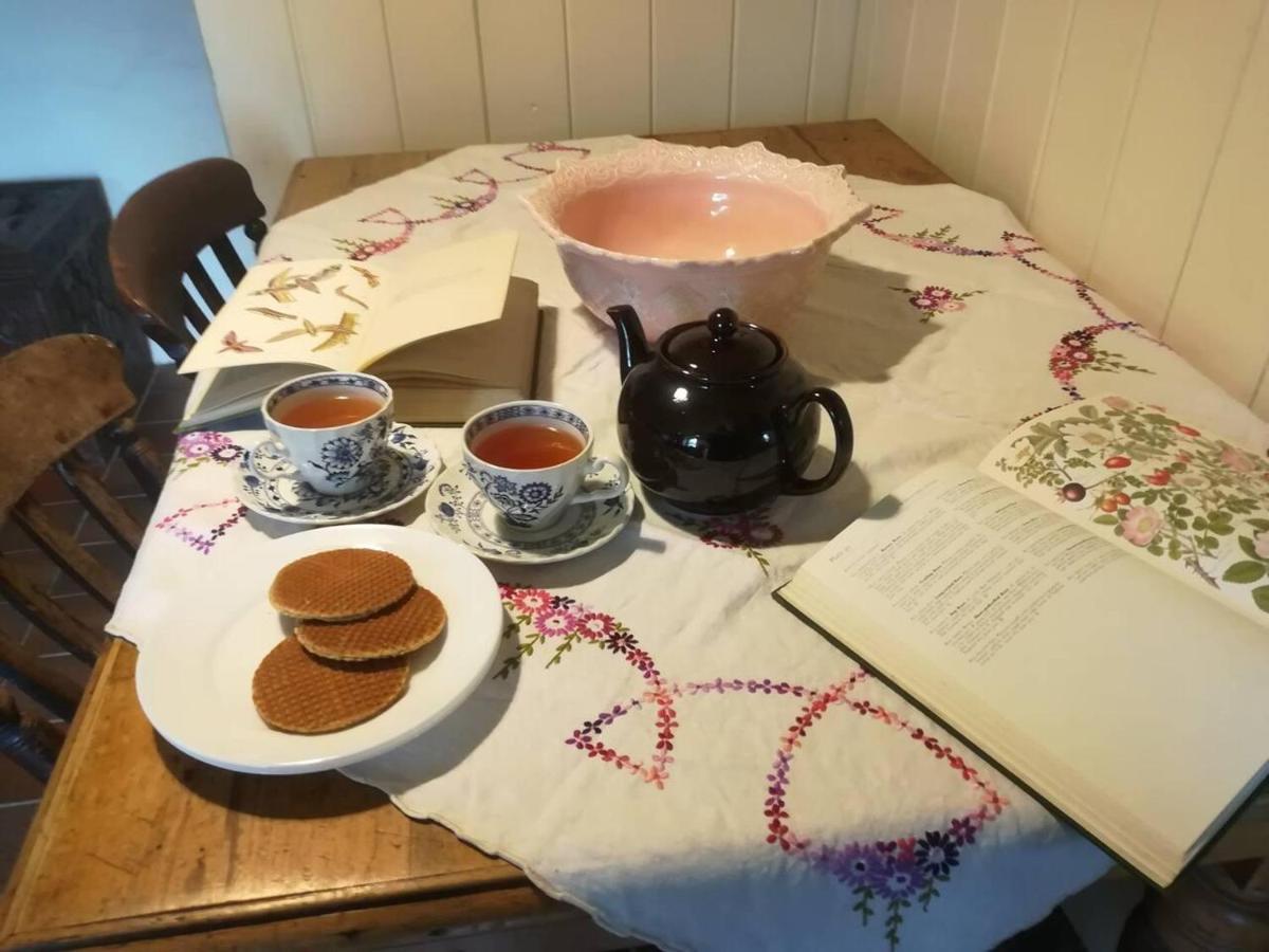 Relaxing Pet Friendly 2-Bed Cottage In Rhandirmwyn Llandovery Εξωτερικό φωτογραφία