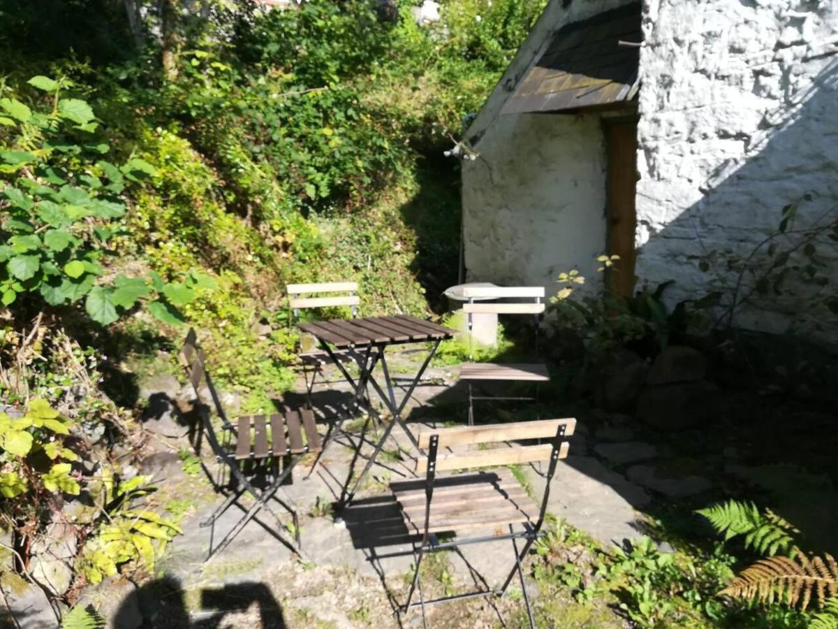 Relaxing Pet Friendly 2-Bed Cottage In Rhandirmwyn Llandovery Εξωτερικό φωτογραφία