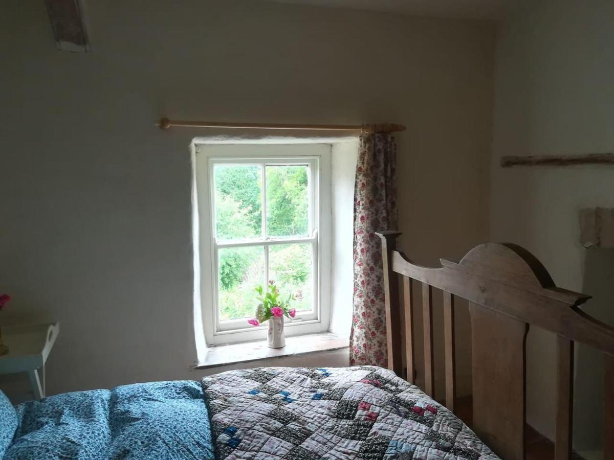 Relaxing Pet Friendly 2-Bed Cottage In Rhandirmwyn Llandovery Εξωτερικό φωτογραφία