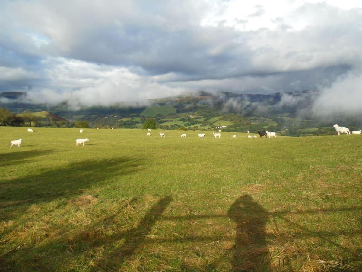 Relaxing Pet Friendly 2-Bed Cottage In Rhandirmwyn Llandovery Εξωτερικό φωτογραφία